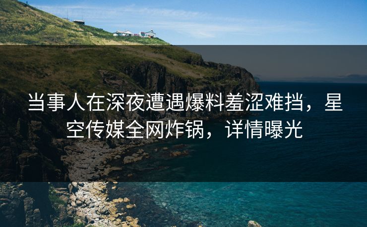 当事人在深夜遭遇爆料羞涩难挡，星空传媒全网炸锅，详情曝光