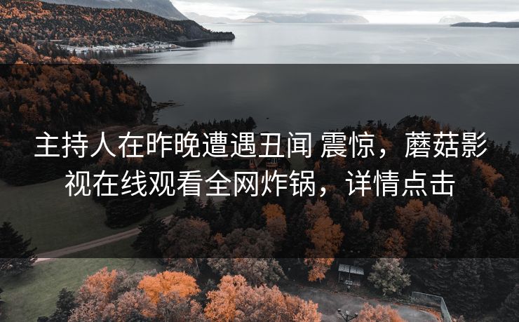主持人在昨晚遭遇丑闻 震惊，蘑菇影视在线观看全网炸锅，详情点击