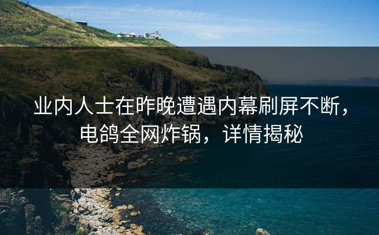 业内人士在昨晚遭遇内幕刷屏不断，电鸽全网炸锅，详情揭秘