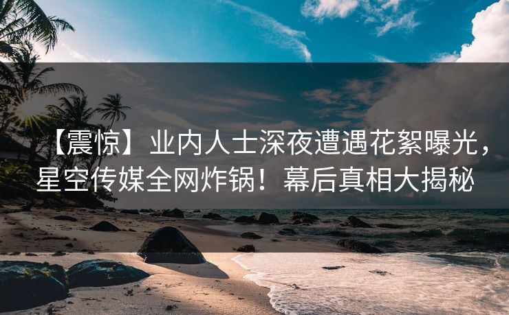 【震惊】业内人士深夜遭遇花絮曝光，星空传媒全网炸锅！幕后真相大揭秘