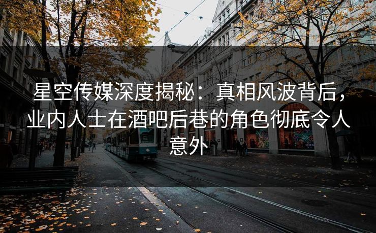 星空传媒深度揭秘：真相风波背后，业内人士在酒吧后巷的角色彻底令人意外